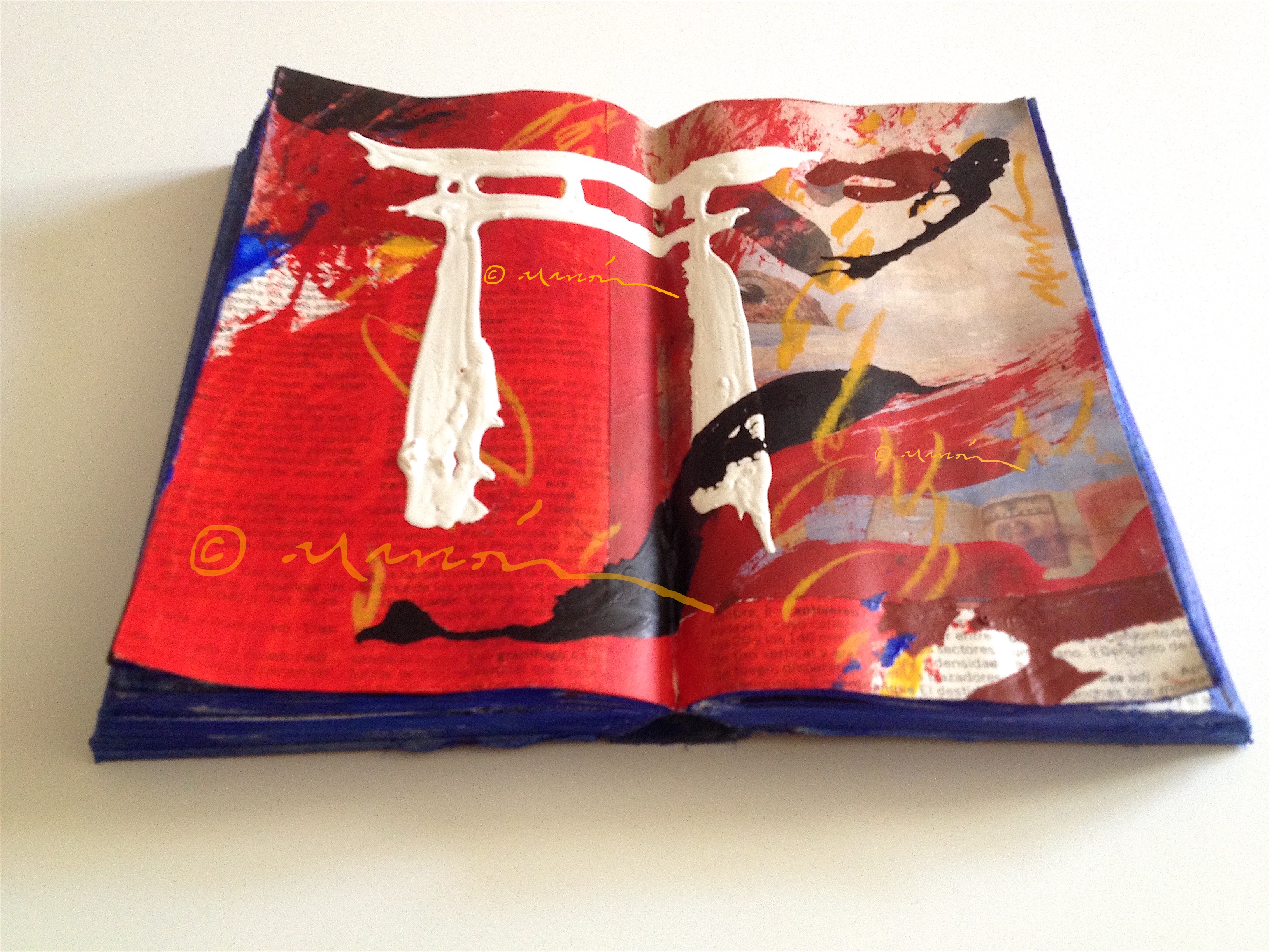 Torii, de lo profano a lo espiritual  + ©