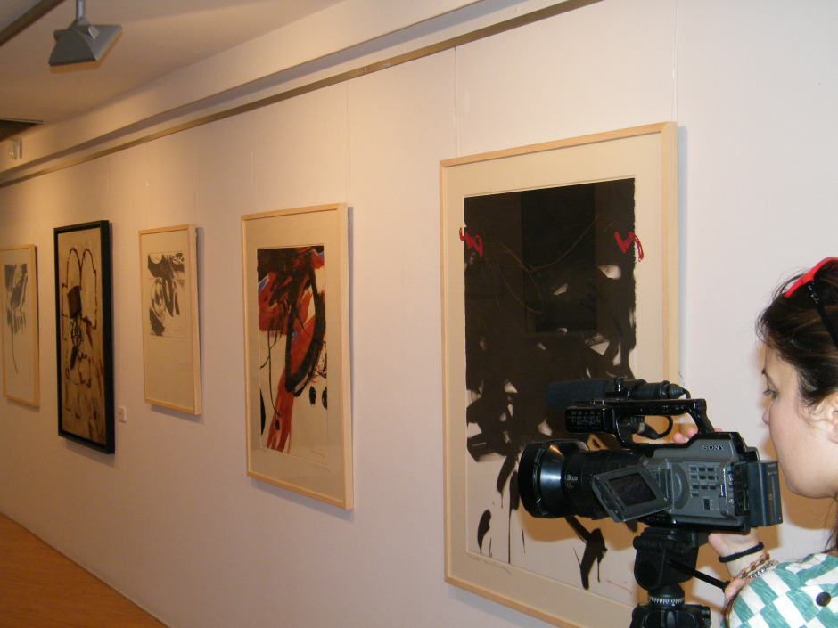 sala-coma-estadella-expo-romc3a1nicum-tv-lleida-201112